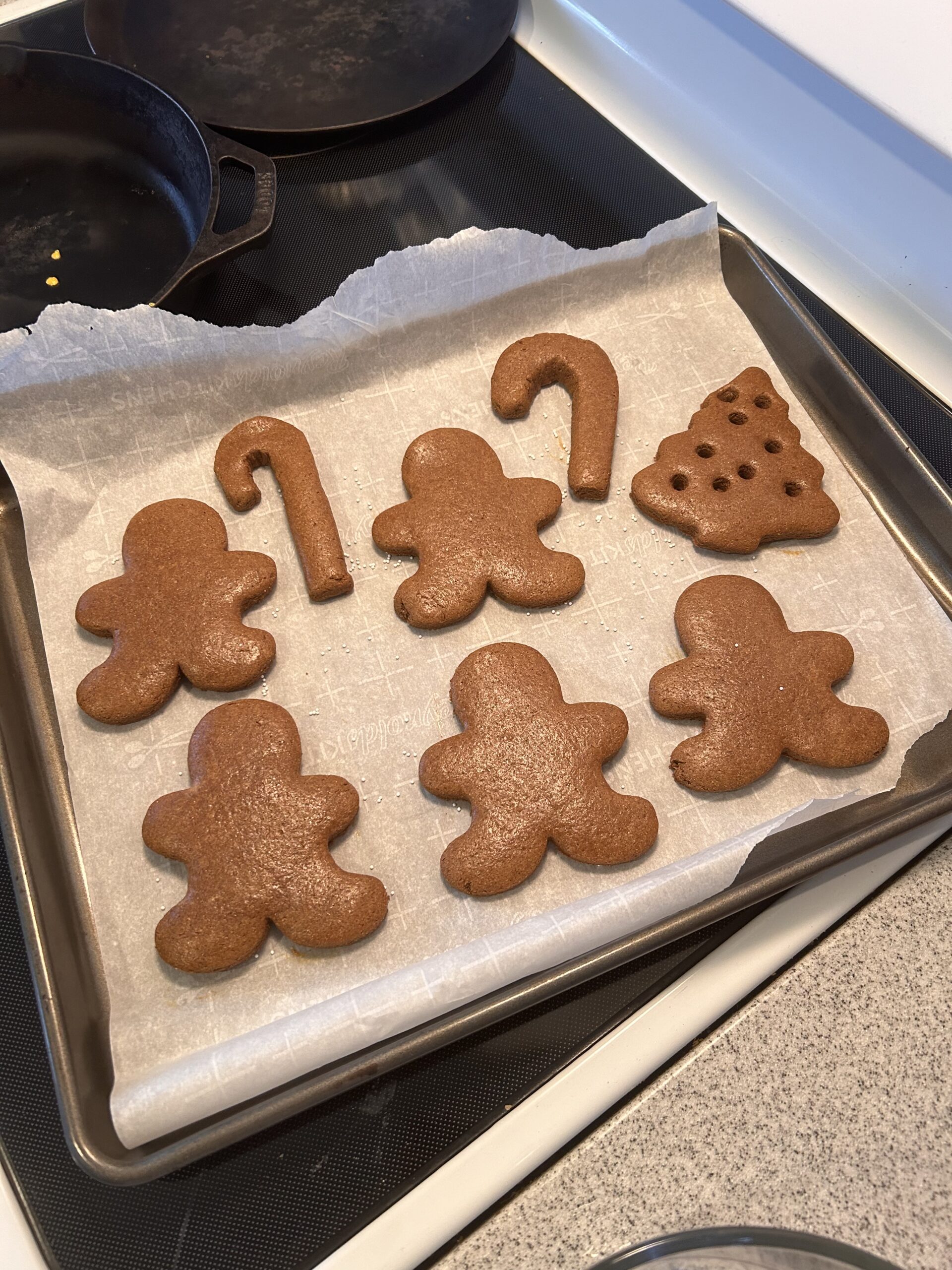 Gluten/dairy Free Gingerbread Cookies (Puerquitos style)