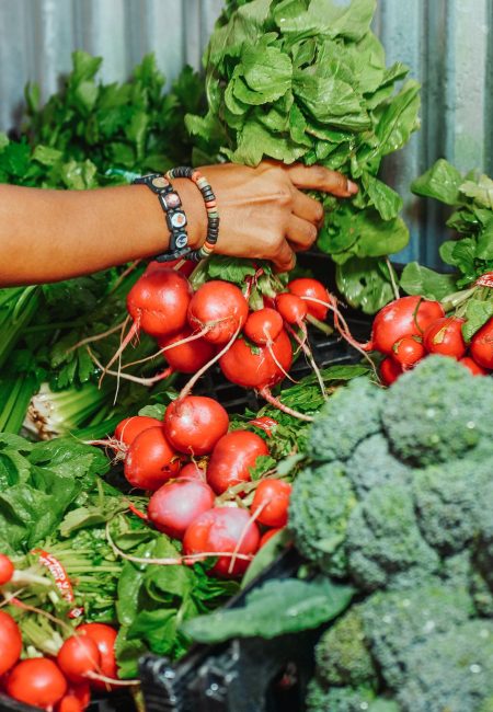 person holding radishes